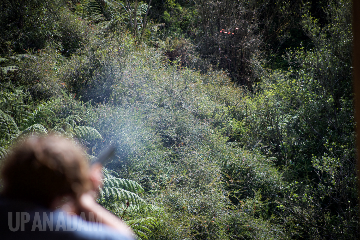Claybird Shooting Rotorua